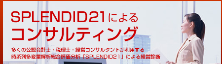 SPLENDID21によるコンサルティング